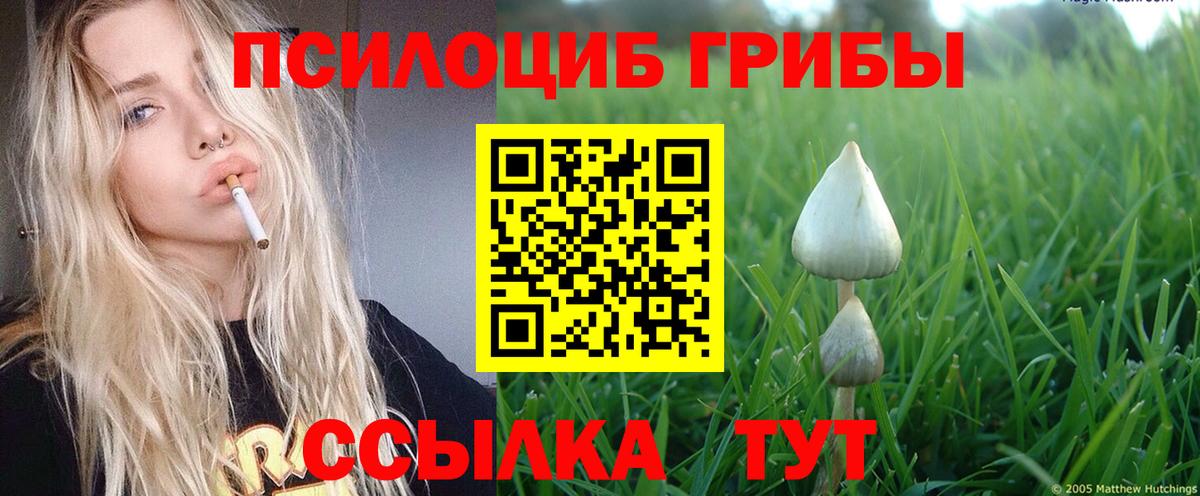 Галлюциногенные грибы Magic Shrooms Кулебаки