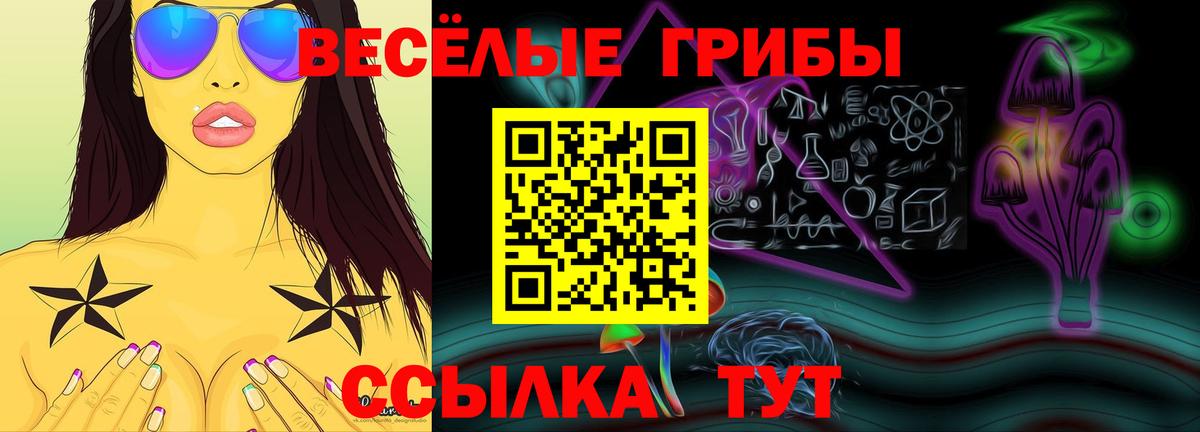 Псилоцибиновые грибы ЛСД  Галлюциногенные грибы ЛСД  Вход с VPN  Кулебаки 
